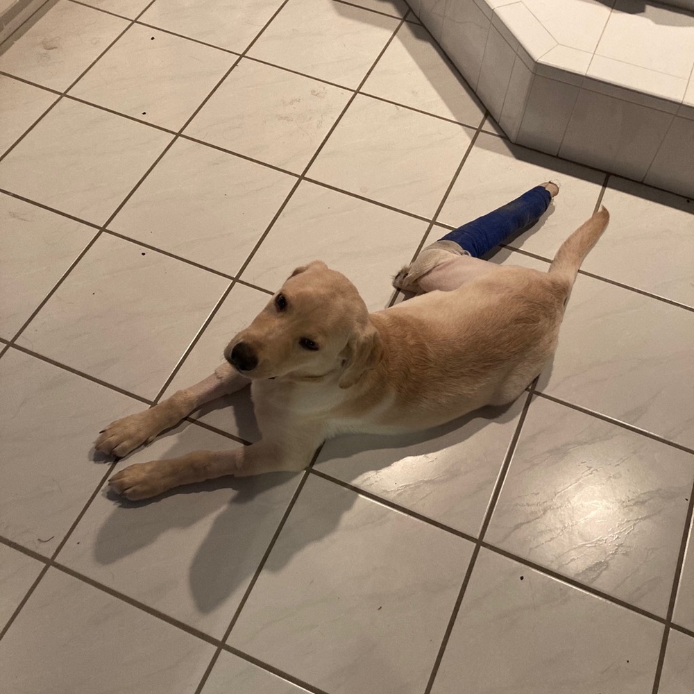 Meet your Posher, Andrea